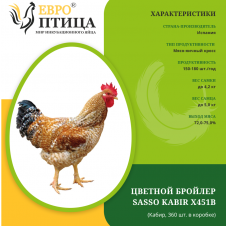 Сассо Кабир (Sasso Kabir  X451B ) Испания