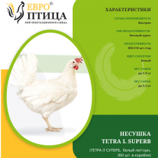 Тетра Л СуперБ (TETRA L SUPERB, леггорн, аналог Супер Ник , Декалб Уайт, Доминант Д-229 ) Венгрия