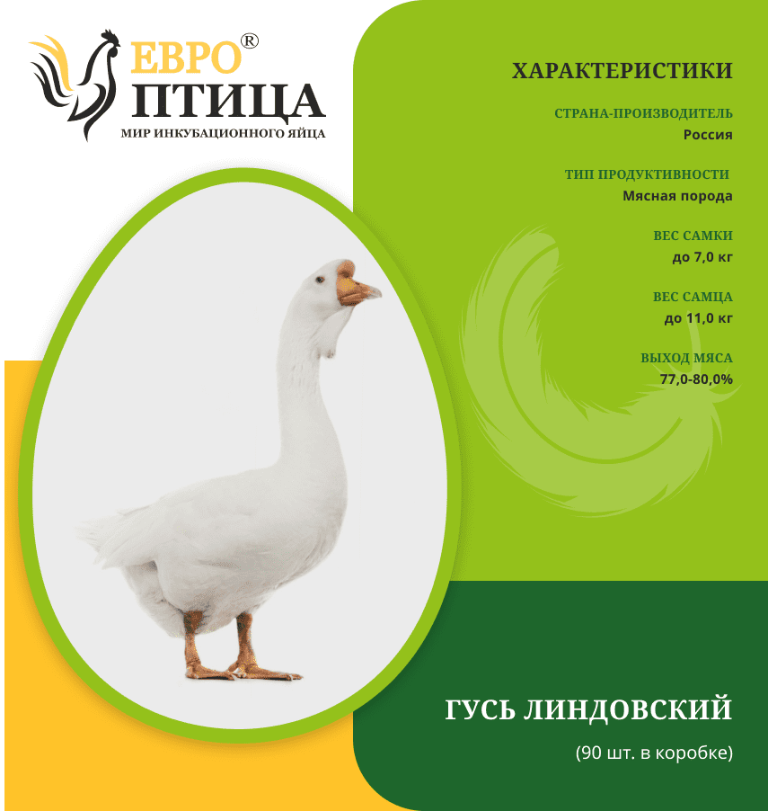 Гусь Линдовский (Линда) РФ Завод "Вурнарец"